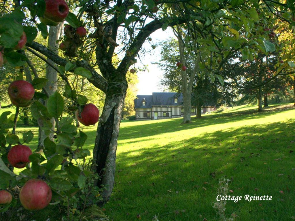Les Fermes De Florence Bien Etre Et Nature Les Champeaux Zimmer foto